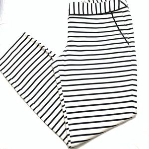 EXPRESS- Columnist Pants